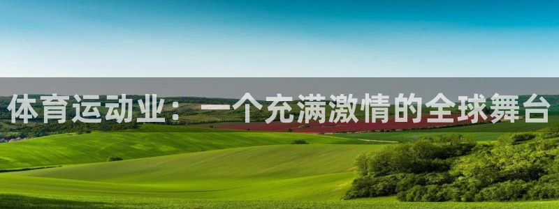 意昂5平台：体育运动业：一个充满激情的全球舞台