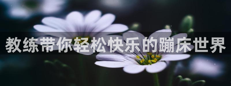 意昂3平台登录：教练带你轻松快乐的蹦床世界