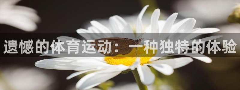 意昂33平台登录注册：遗憾的体育运动：一种独特的体验