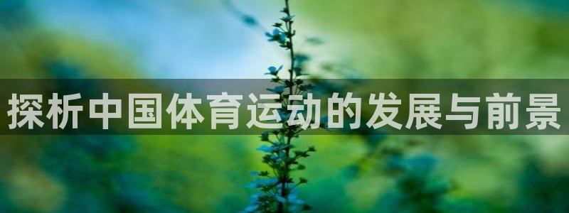 意昂3体育老板是谁：探析中国体育运动的发展与前景