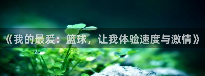 意昂3体育平台总代理：《我的最爱：篮球，让我体验速度与激情》