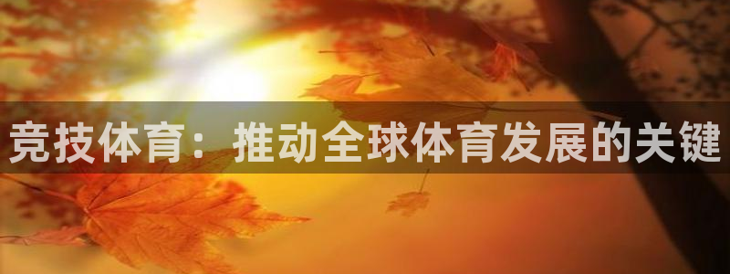 意昂凯捷注册：竞技体育：推动全球体育发展的关键
