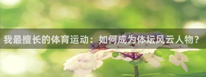 意昂3vk：我最擅长的体育运动：如何成为体坛风云人物？