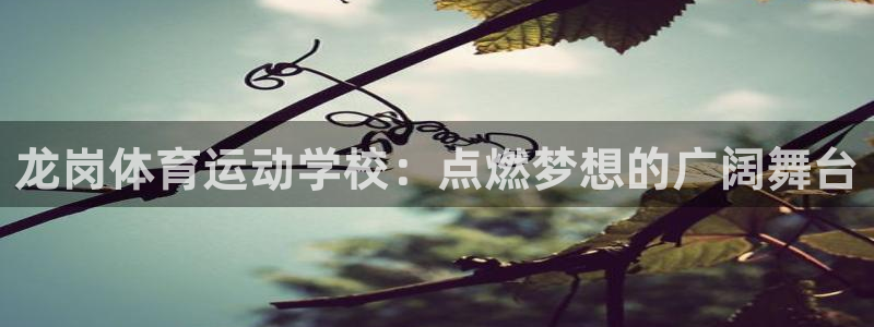 意昂32体育：龙岗体育运动学校：点燃梦想的广阔舞台