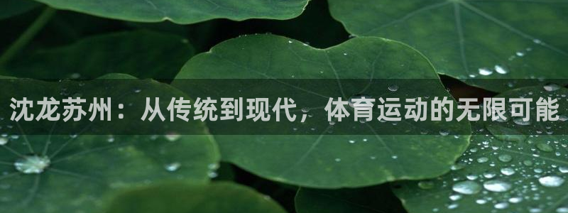 意昂32体育：沈龙苏州：从传统到现代，体育运动的无限可能