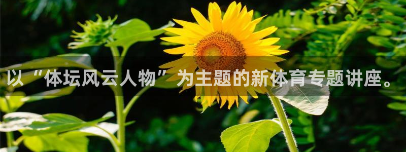 意昂3体育热门赛事有哪些：以“体坛风云人物”为主题的新体育专题讲座。
