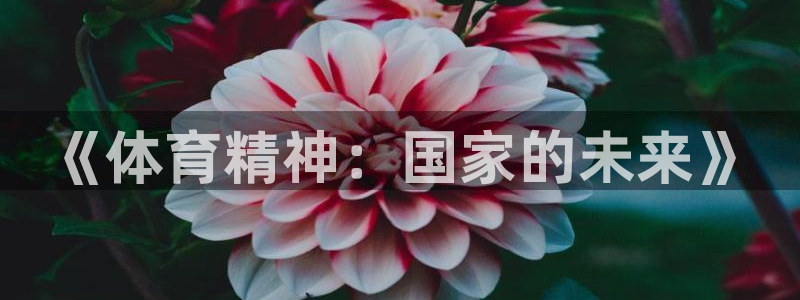 意昂33：《体育精神：国家的未来》