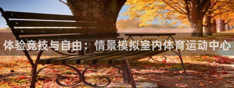意昂32登录：体验竞技与自由：情景模拟室内体育运动中心