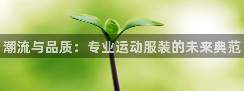意昂平台：潮流与品质：专业运动服装的未来典范