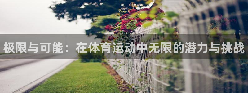 意昂招商：极限与可能：在体育运动中无限的潜力与挑战