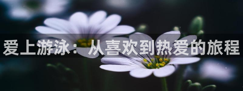福建意昂3机电股份公司：爱上游泳：从喜欢到热爱的旅程