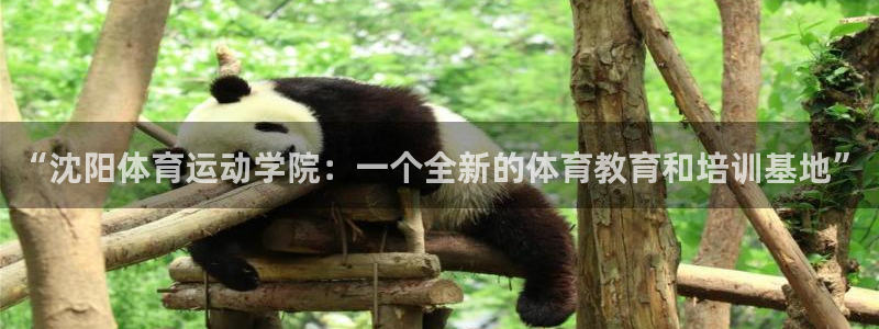 意昂3平台：“沈阳体育运动学院：一个全新的体育教育和培训基地”