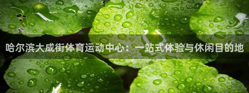 意昂平台：哈尔滨大成街体育运动中心：一站式体验与休闲目的地