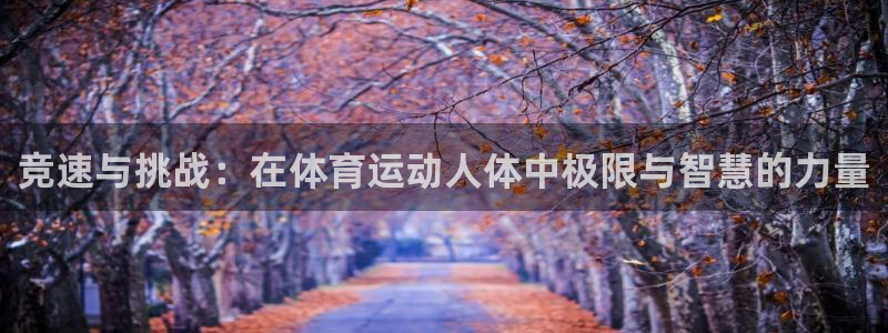 意昂3平台总代理：竞速与挑战：在体育运动人体中极限与智慧的力量