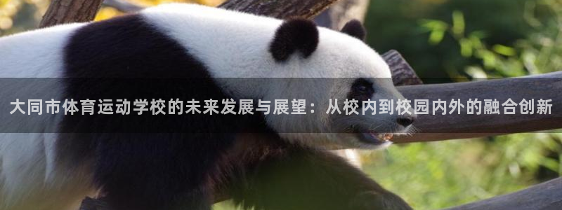 上海意昂3汽车电子有限公司