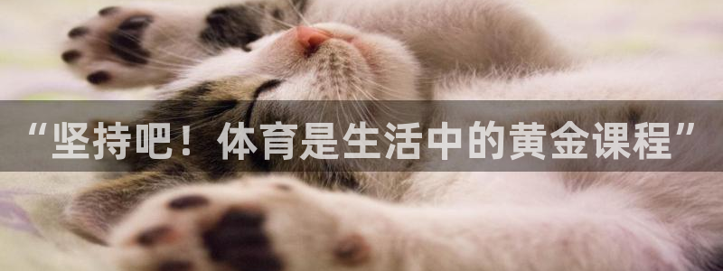 意昂体育官网