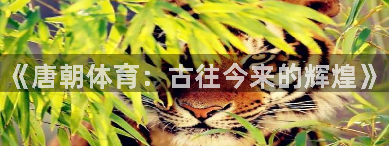 意昂3体育f开号：《唐朝体育：古往今来的辉煌》