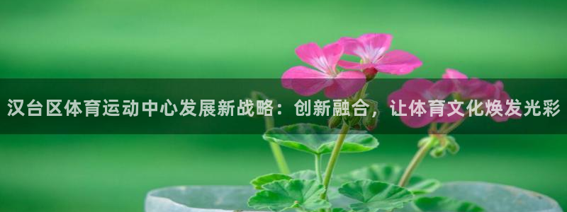 意昂扬是什么意思：汉台区体育运动中心发展新战略：创新融合，让体育文化焕发光彩